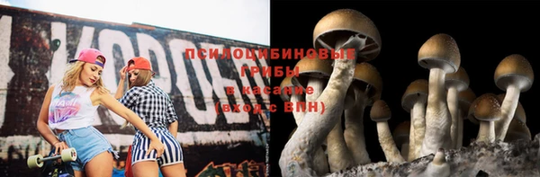 СК Остров