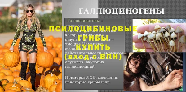 прущая мука Гатчина