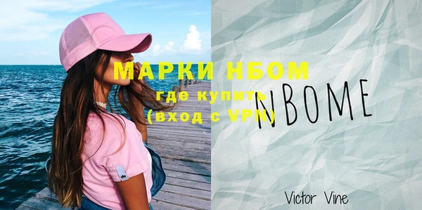 индика Нязепетровск