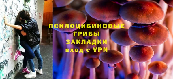 индика Нязепетровск