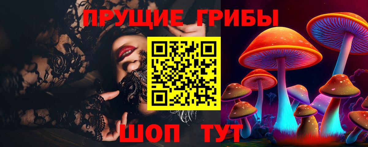 Галлюциногенные грибы Psilocybe  Псилоцибиновые грибы прущие грибы  Вход с VPN  Кудрово 