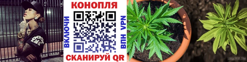 MEGA ONION  Кудрово  Шишки марихуана ГИДРОПОН 