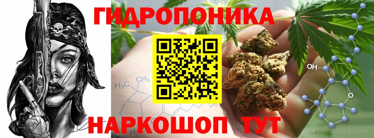 Кудрово  Конопля MAZAR  Бошки марихуана план  Вход с VPN  Каннабис SATIVA & INDICA 